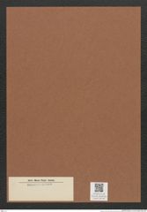Diatomeae indet. Zeichnungen Sammlung Grunow Mappe 02750 (Herbarium_W_Grunow_drawings_Folder_02750)